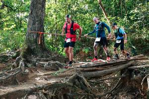 BIB: 
                            <button type="button" onclick="openModal(27557614)" class="btn btn-primary btn-sm float-right btn-popup" data-toggle="modal" data-target=".modal-high-quality">
                        <i class="fas fa-shopping-cart"></i> Add to Cart
                    </button>
                                            <button type="button" onclick="isThisMe(27557614, true)" class="btn btn-success btn-sm float-right btn-popup btn-isme hidden" data-toggle="tooltip" data-placement="bottom" title="นี่คือรูปของคุณใช่ไหม คลิกที่นี่เพื่อเอาเข้าอัลบั้ม">
                        <i class="fas fa-plus"></i> Add to album
                    </button>
                    <button type="button" onclick="isThisMe(27557614, false)" class="btn btn-warning btn-sm float-right btn-popup btn-isnotme hidden">
                        <i class="fas fa-ban"></i> Remove from album
                    </button>